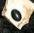 Stone Cabochon with BALKIN VAMPIRE