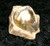 Natural Stone with GOLD DRAGON