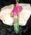 Pendant with RAINBOW CHINESE DRAGON