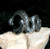 Ring with EGYPTIAN COLLECTION