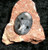 Stone with STORM RIDER