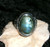 Stone Ring with SUPREME DEVATA