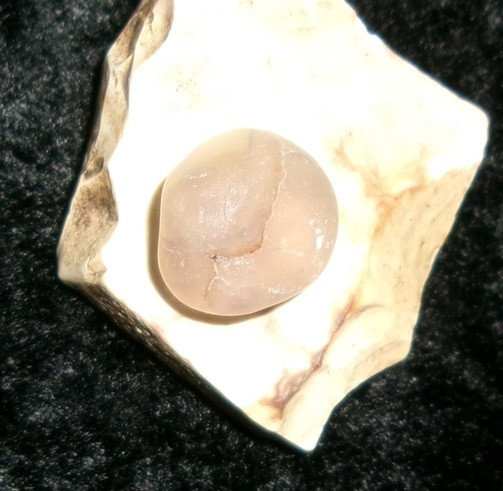 Stone with TAUPE DRAGON