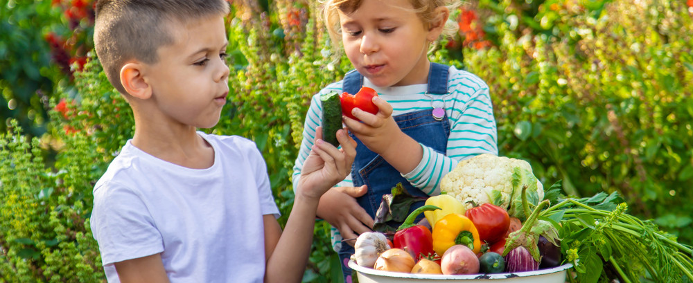 Kids and Portions: Teaching Healthy Habits Early On