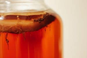 apple cider vinegar mother