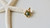 14KT Yellow Gold Plumeria Pearl Pendant  |  Price Varies Based on Size