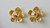 14KT Plumeria Flower Earrings  |  Price Varies Based on Size