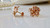 14KT Hibiscus Flower Earrings  |  Price Varies Based on Size