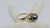 USED - 14KT Yellow Gold Black Tahitian Pearl Ring