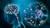 Bio-Hack Nootropic Formula Bio-Hack Nootropic Formula