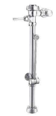 Sloan ROYAL BPW 1100 Bedpan Washer Flushometer