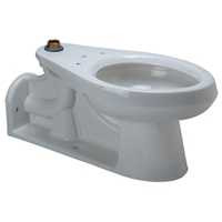 Zurn Z5631 Floor Mounted Flush Valve Toilet w/ Bedpan Lugs