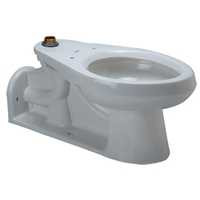 Zurn Z5630, Floor Mounted, Flush Valve Toilet
