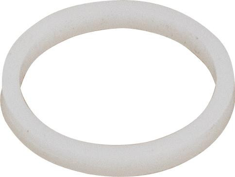 Chicago Faucets 229-003JKABNF Chicago Faucets Part: Plastic Washer for Adapter or Nozzle