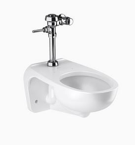 Sloan WETS-2450.1001 Wall Hung Vitreous China Toilet Fixture with Royal 111-1.28 Water Closet Flushometer