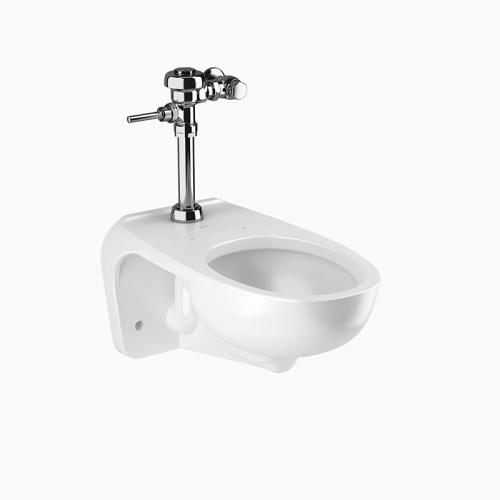 Sloan WETS-2450.1010 Wall Hung Vitreous China Toilet Fixture with Sloan 111-1.28 DFB Flushometer