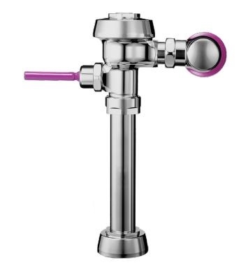 Sloan ROYAL 111-1.28 RW PH Closet Flushometer