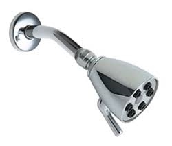 Chicago Faucets 600-ACP Chicago Faucets Part: Shower Head with Arm and Wall Flange, 2.5 GPM Max Flow Rate @ 80 PSI
