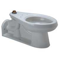 Zurn Z5631, Floor Mounted, Back Outlet, Flush Valve Toilet with Bedpan Lugs (DISCONTINUED)