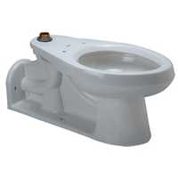 Zurn Z5641, ADA Floor Mounted, Back Outlet, Flush Valve Toilet with Bedpan Lugs (DISCONTINUED)