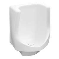 Zurn Z5795, Large Waterless Urinal