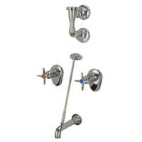 Zurn Z873E2-EVB-IS, Clinical Service Sink Faucet