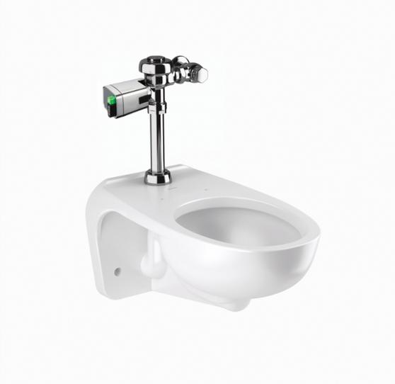 Sloan WETS-2452.1025 Wall Hung Vitreous China Toilet Fixture with Battery, Sensor Activated SLOAN 111-1.6/1.1 Dual Flush Closet Flushometer