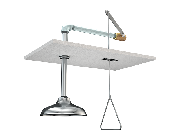 Guardian G1658 Emergency Shower, Semi-Concealed, Stainless Steel Shower Head and Pipe