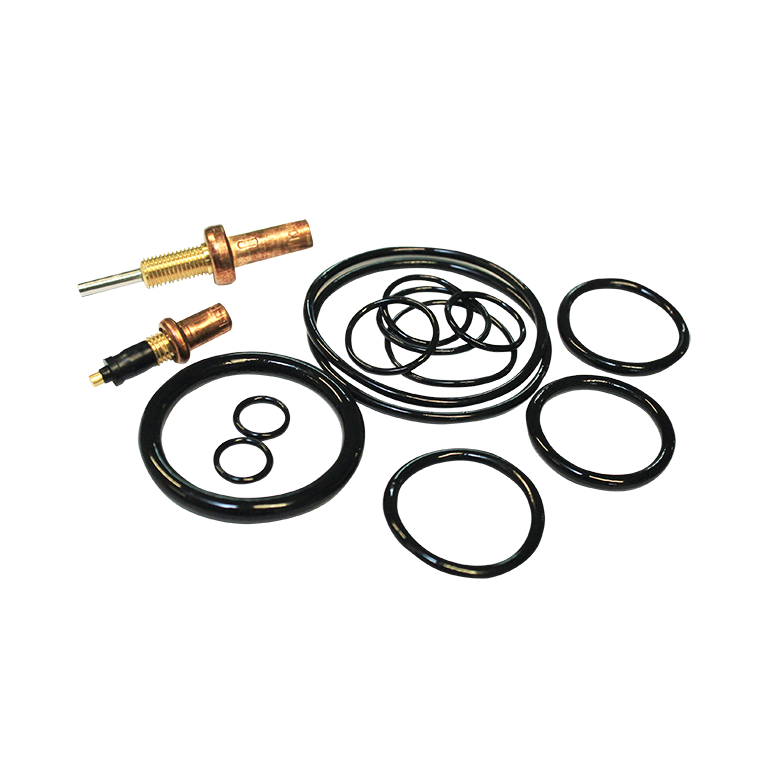Haws VRKEWE.E Thermostat and O-Rings Repair Kit for TWBS.EWE