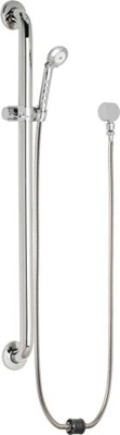 Chicago Faucets 154-175ADCP Wall Mounted 1.75 GPM Hand Spray, Two 34" Stainless Steel Hoses with Auto Drain and 36" ADA Grab Bar