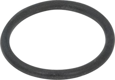 Chicago Faucets 2-043BL100JKABNF Chicago Faucets Part: O-Ring Qty 100