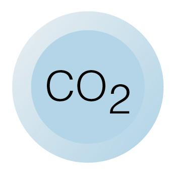 Chicago Faucets 216-678CO2JKNF Chicago Faucets Part: Laboratory Index Button, Light Blue with Black Letters, Carbon Dioxide (CO2)