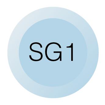Chicago Faucets 216-678SG1JKNF Chicago Faucets Part: Laboratory Index Button, Light Blue with Black Letters, Specialized Gas 1 (SG1)