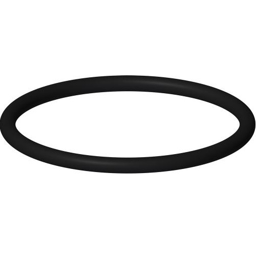 Chicago Faucets 80-007JKABNF O-Ring Replacement Seal