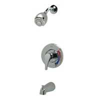 Zurn Z7302-SS-MT, Tub And Shower Unit
