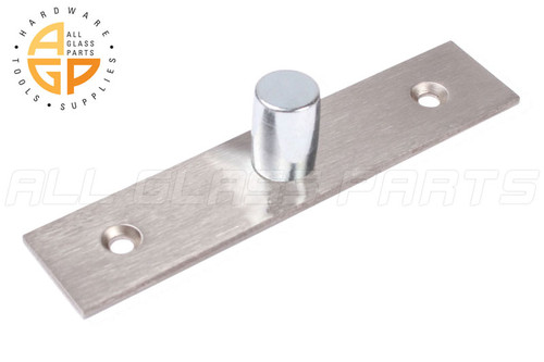 Surface Mounted Free Swinging Pivot