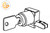 Shoe Lock w Keys (Satin Brass) (Reversible) (Key No. 3003)