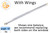 Window Sash Balances (Spring) (w Wings) (Lbs. xx) (Length: 18'')