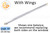 Window Sash Balances (Spring) (w Wings) (Lbs. 25-30) (Length: 30'')