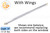 Window Sash Balances (Spring) (w Wings) (Lbs. 17-21) (Length: 24'')
