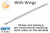 Window Sash Balances (Spring) (w Wings) (Lbs. 6-10) (Length: 15'')