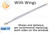 Window Sash Balances (Spring) (w Wings) (Length: 12'')