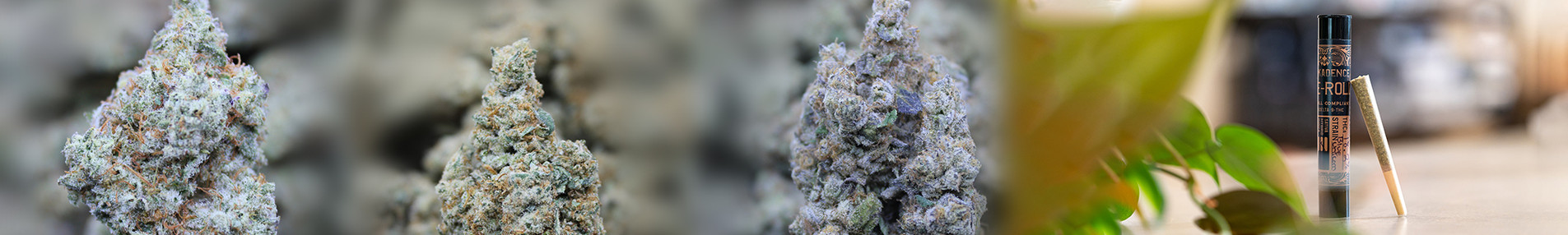 VAPE & FLOWER Banner