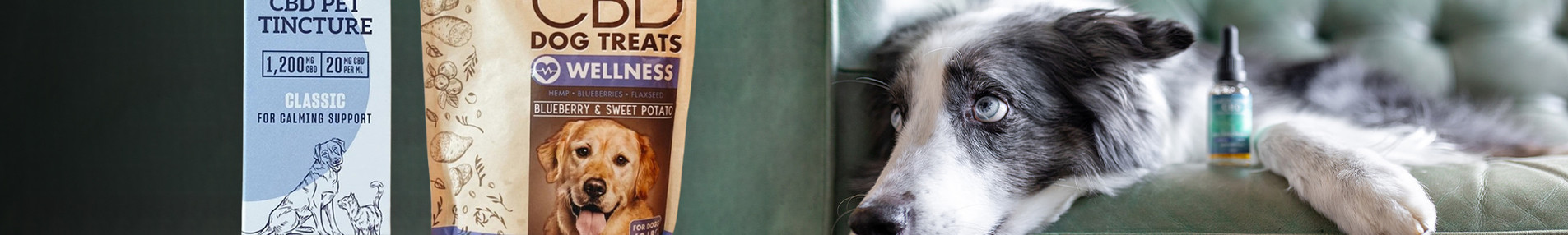 Pet Banner