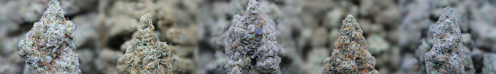 THCa Flower & Vape Banner