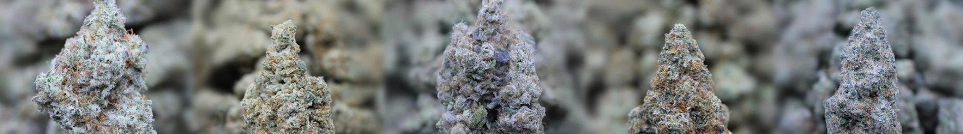 Shop By Cannabinoid  banner
