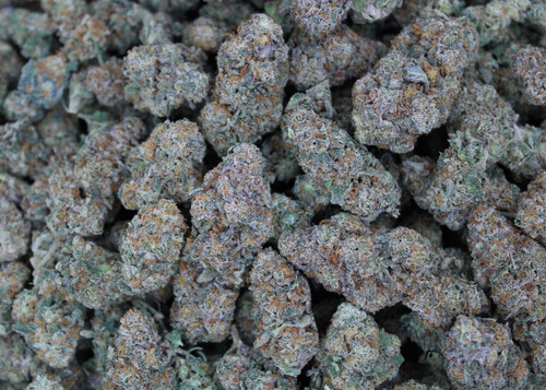 Gelonade Hybrid 29.17% THCa  - Dankadence Premium Tier Flower