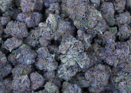 Gas Monkey Indica Private Reserve 31.54% THCa - Dankadence Private Reserve Tier Flower