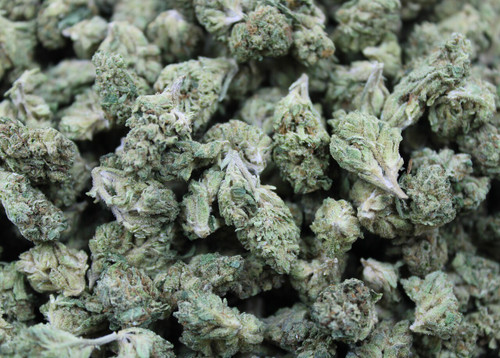 Royal Chemdawg smalls Indica 26.1% - Dankadence Smalls Flower