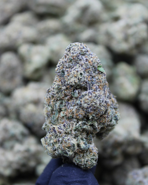 Head Hunter Hybrid 28.61%  THCa  - Dankadence Premium Tier Flower